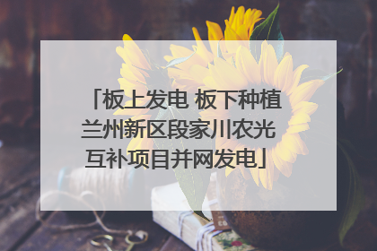 板上发电 板下种植 兰州新区段家川农光互补项目并网发电
